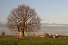 Grossansicht in neuem Fenster: Wegkreuz, im Hintergrund Vogtareuth